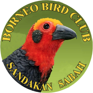 Bobc_logo