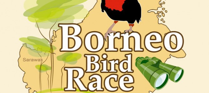 The Borneo Bird Race 2013