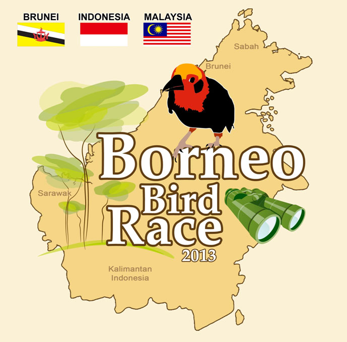 borneo-bird-race-2013