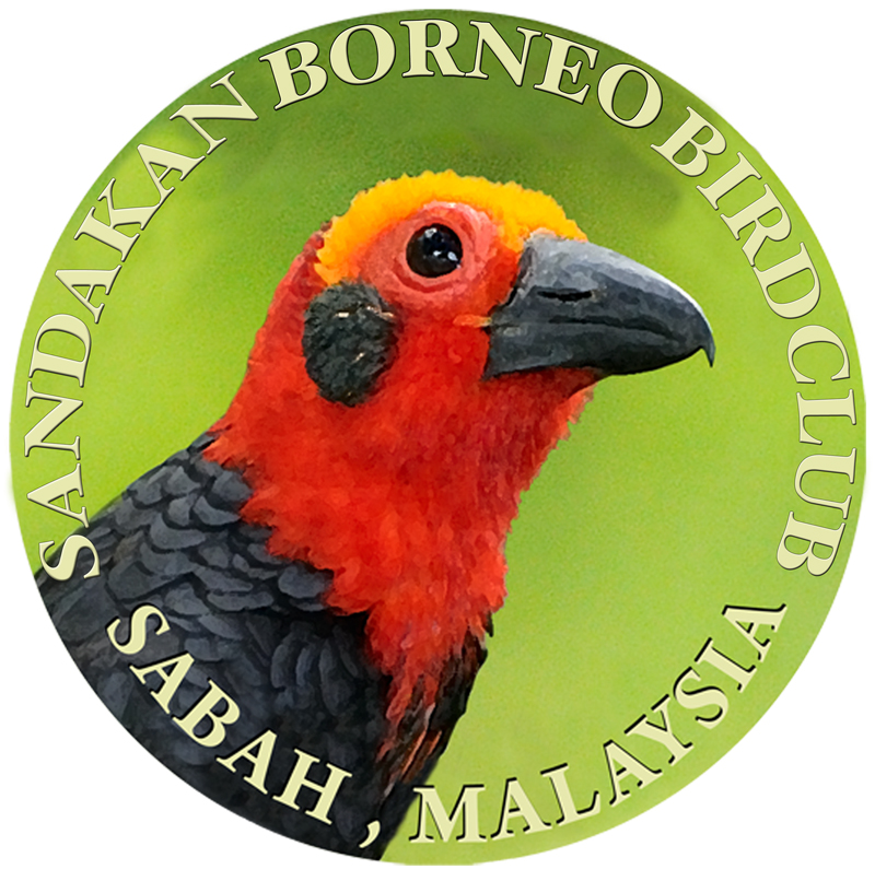 sandakan Borneo Bird Club