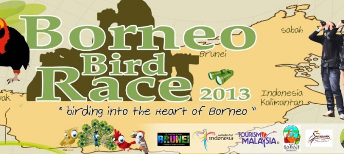 International Borneo Bird Race 2013